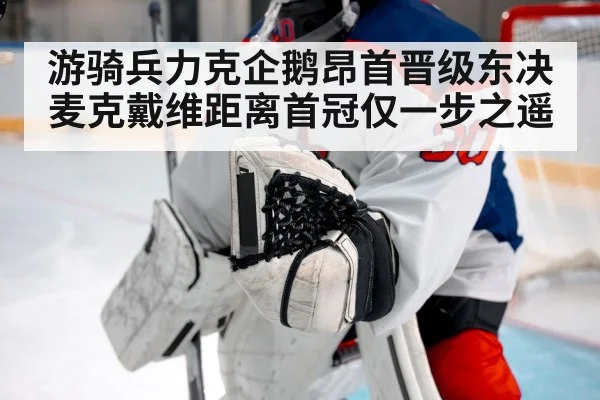 NHL goalie save