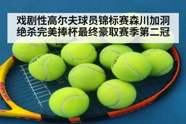 戏剧性高尔夫球员锦标赛森川加洞绝杀完美捧杯最终豪取赛季第二冠