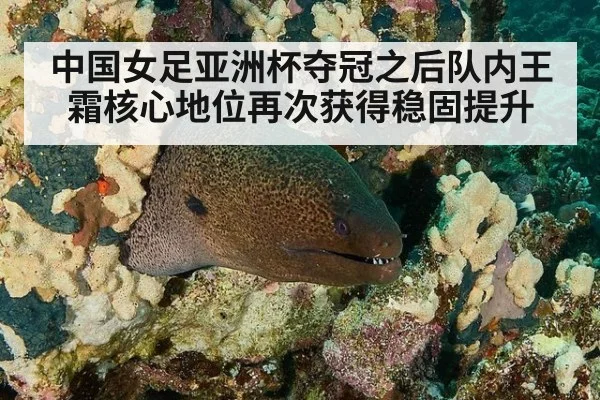 中国女足亚洲杯夺冠之后队内王霜核心地位再次获得稳固提升